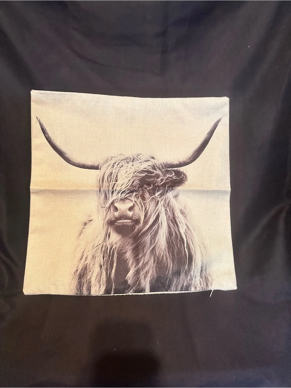 F-22 Highland Cow Decorative Throw Pillow Covers in Cream and Brown, set of 2.